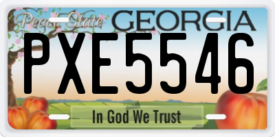 GA license plate PXE5546
