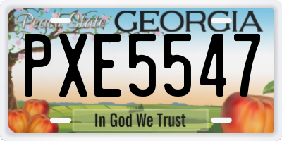 GA license plate PXE5547