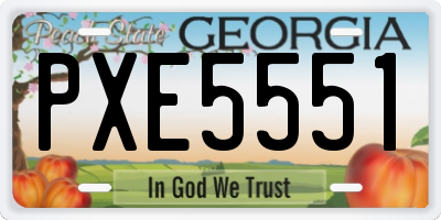 GA license plate PXE5551