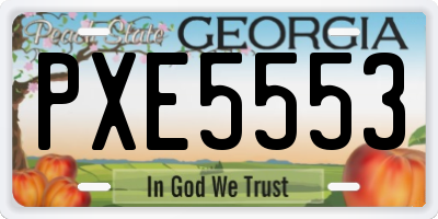 GA license plate PXE5553