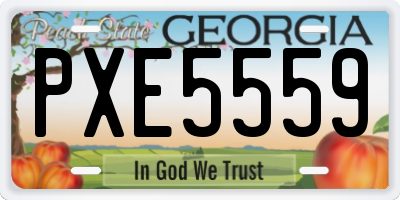 GA license plate PXE5559