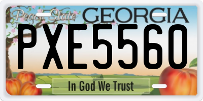 GA license plate PXE5560