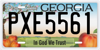 GA license plate PXE5561
