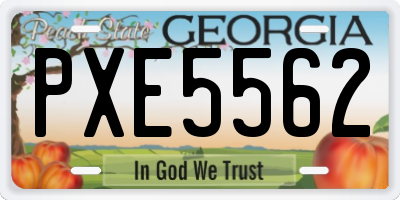 GA license plate PXE5562