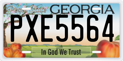 GA license plate PXE5564