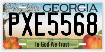 GA license plate PXE5568