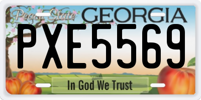 GA license plate PXE5569