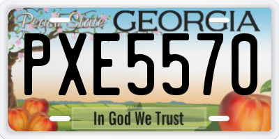 GA license plate PXE5570