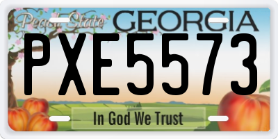 GA license plate PXE5573