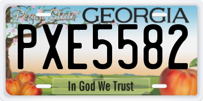 GA license plate PXE5582