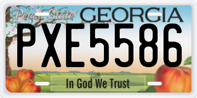 GA license plate PXE5586