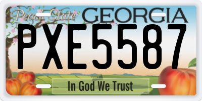 GA license plate PXE5587