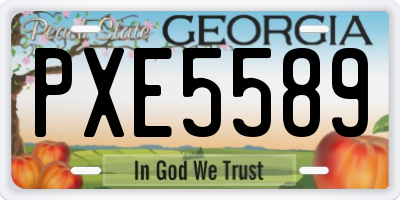 GA license plate PXE5589