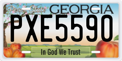 GA license plate PXE5590