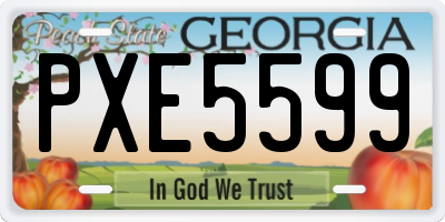 GA license plate PXE5599