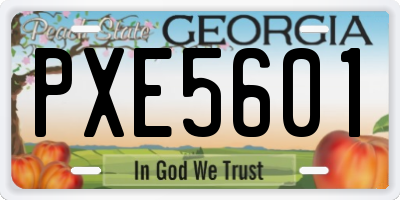 GA license plate PXE5601
