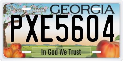 GA license plate PXE5604
