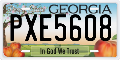 GA license plate PXE5608