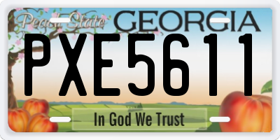 GA license plate PXE5611
