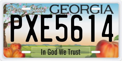 GA license plate PXE5614