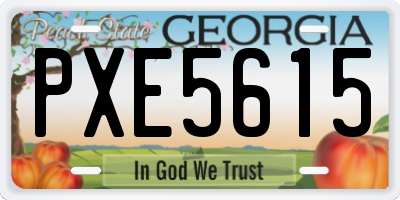 GA license plate PXE5615