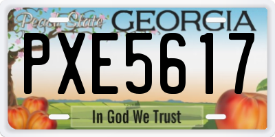 GA license plate PXE5617