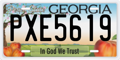 GA license plate PXE5619