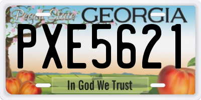GA license plate PXE5621