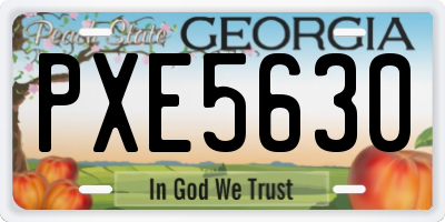 GA license plate PXE5630
