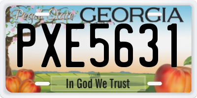 GA license plate PXE5631