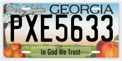 GA license plate PXE5633