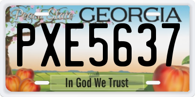 GA license plate PXE5637