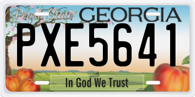 GA license plate PXE5641