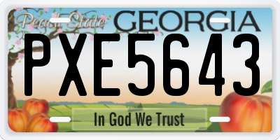 GA license plate PXE5643