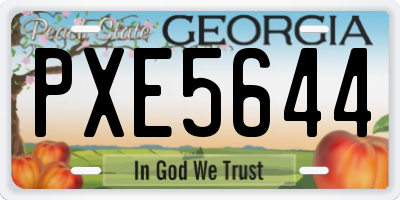 GA license plate PXE5644