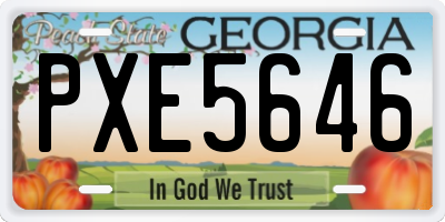 GA license plate PXE5646