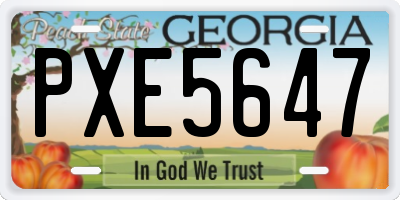 GA license plate PXE5647