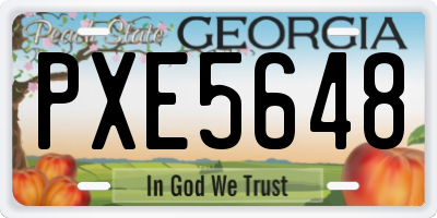 GA license plate PXE5648
