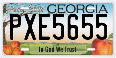 GA license plate PXE5655