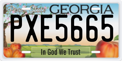 GA license plate PXE5665