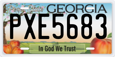 GA license plate PXE5683