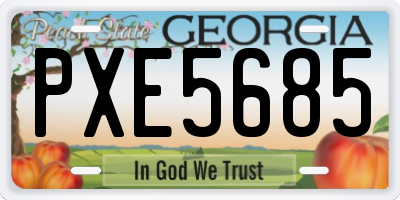 GA license plate PXE5685