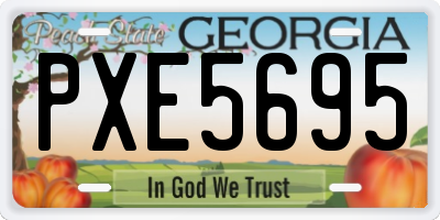 GA license plate PXE5695