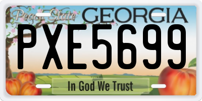 GA license plate PXE5699