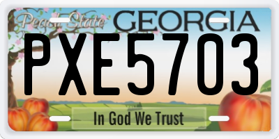 GA license plate PXE5703