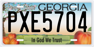 GA license plate PXE5704