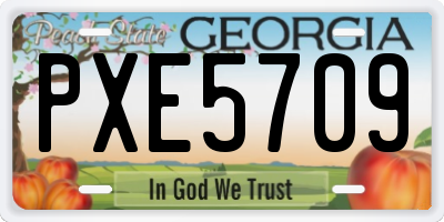 GA license plate PXE5709
