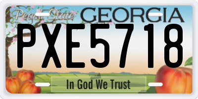 GA license plate PXE5718