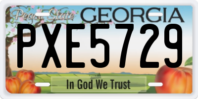 GA license plate PXE5729