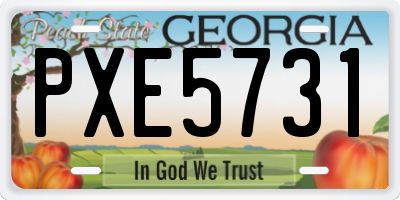 GA license plate PXE5731